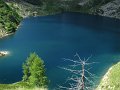 IMG_1320.jpg