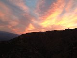 IMG_1279.jpg