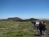 IMG_3264.jpg