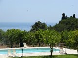 IMG_3318.jpg