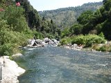 IMG_3331.jpg