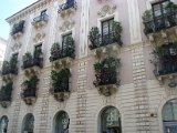 IMG_3396.jpg