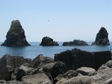 IMG_3399.jpg