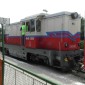 S1360003.jpg