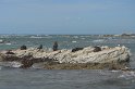 DSC_2053.JPG
